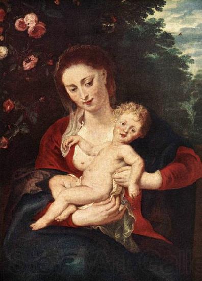 RUBENS, Pieter Pauwel Virgin and Child Spain oil painting art
